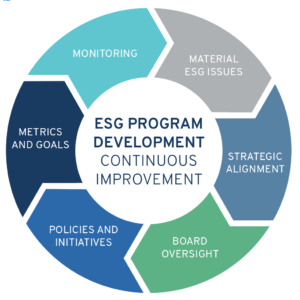 Understanding the ESG Process